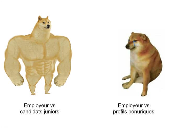 profils pénuriques employeur