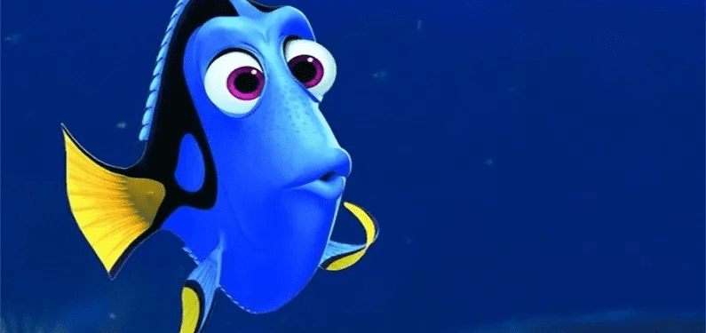 Ghosting Prestataires Dory