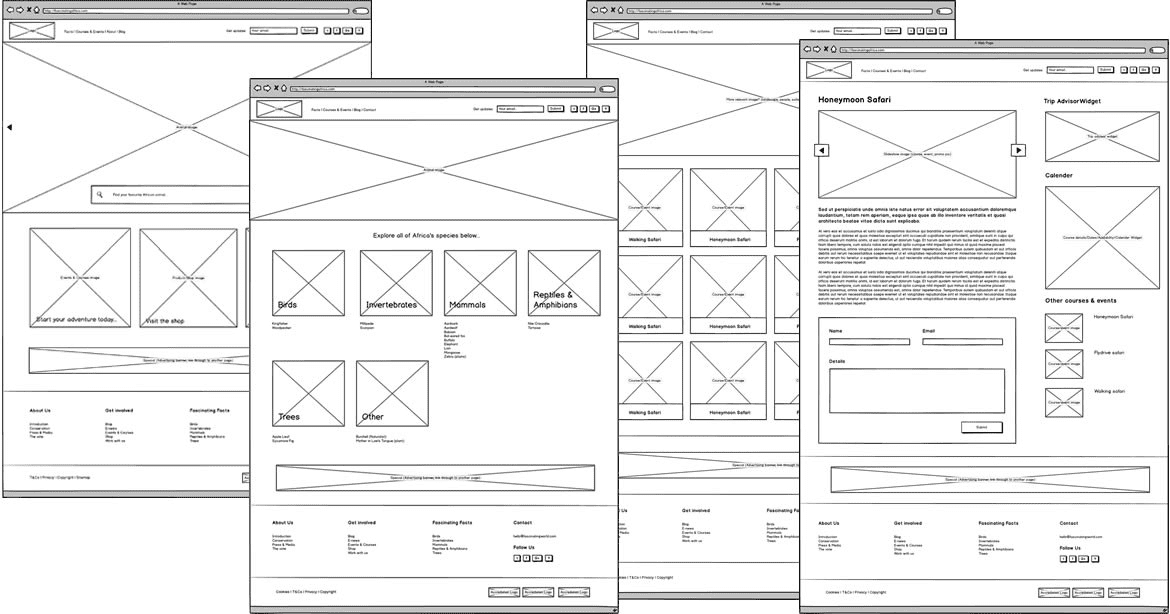 wireframes site carriere