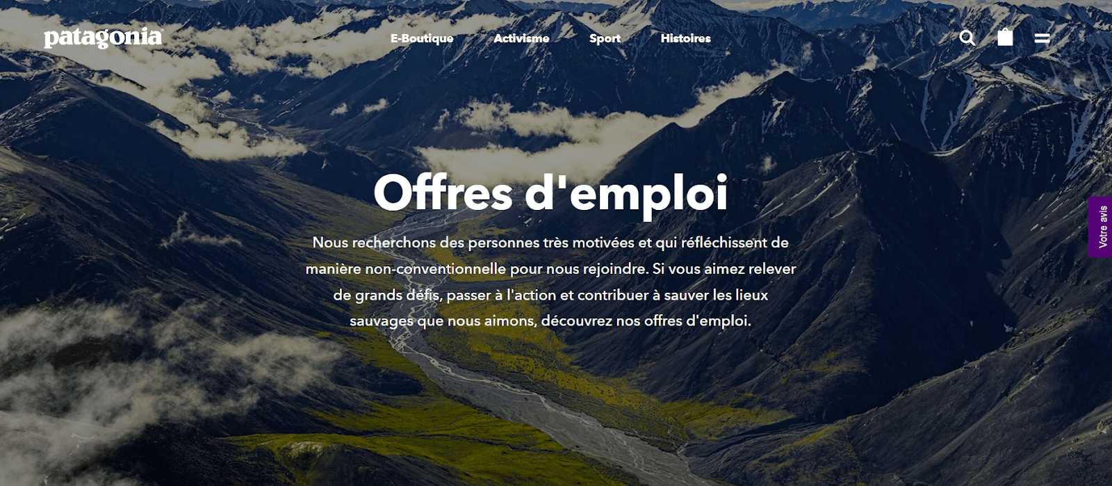 Valeurs site carrière