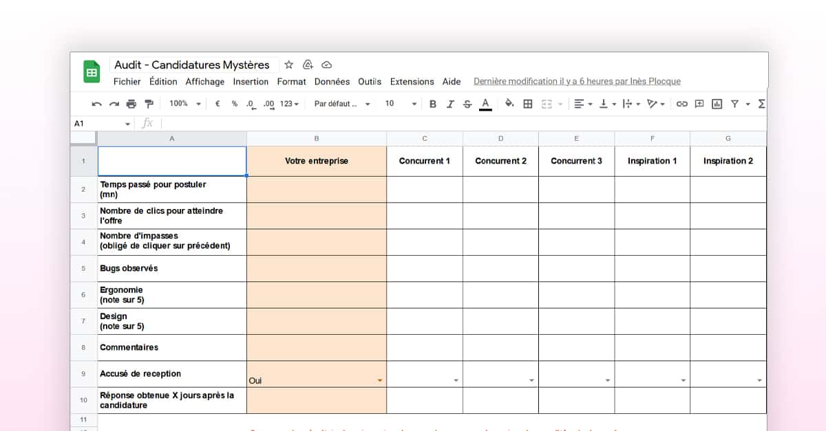 Mesure Expérience Candidat Fichier