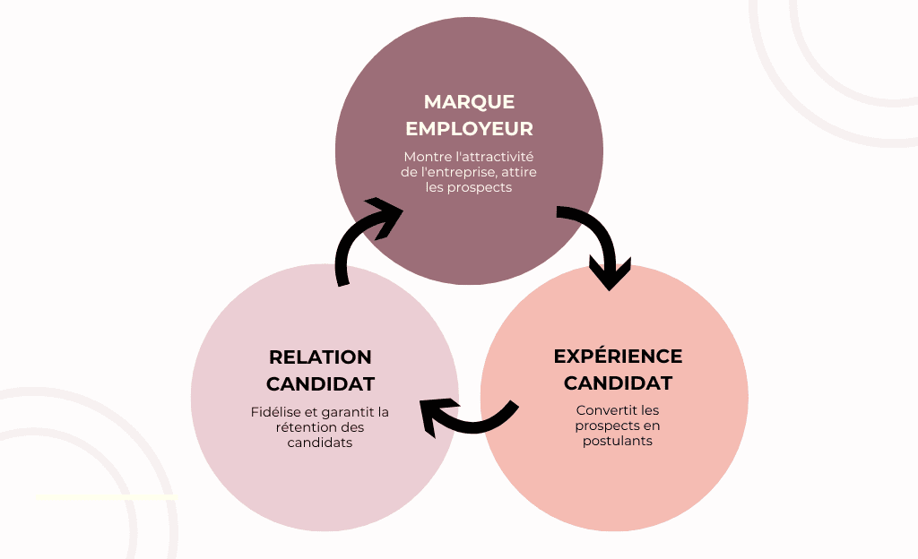 schema relation candidat